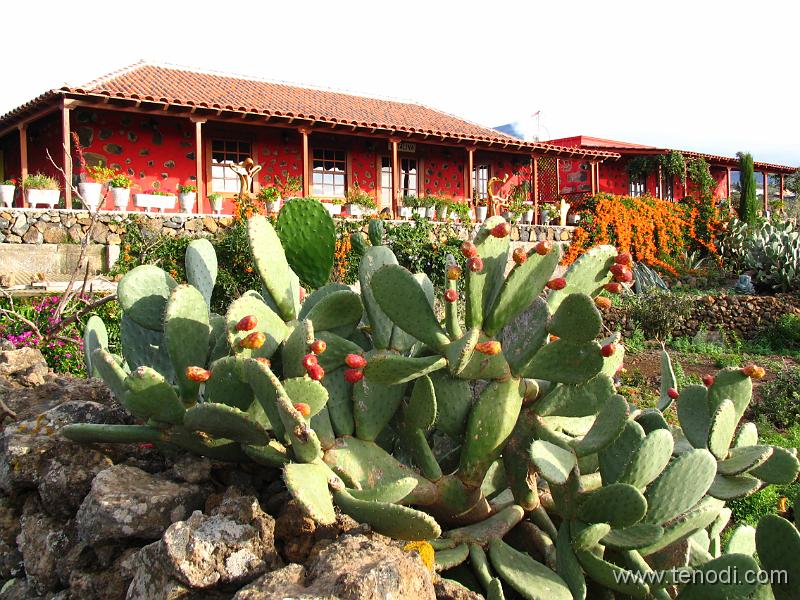 LaPalma (078).JPG